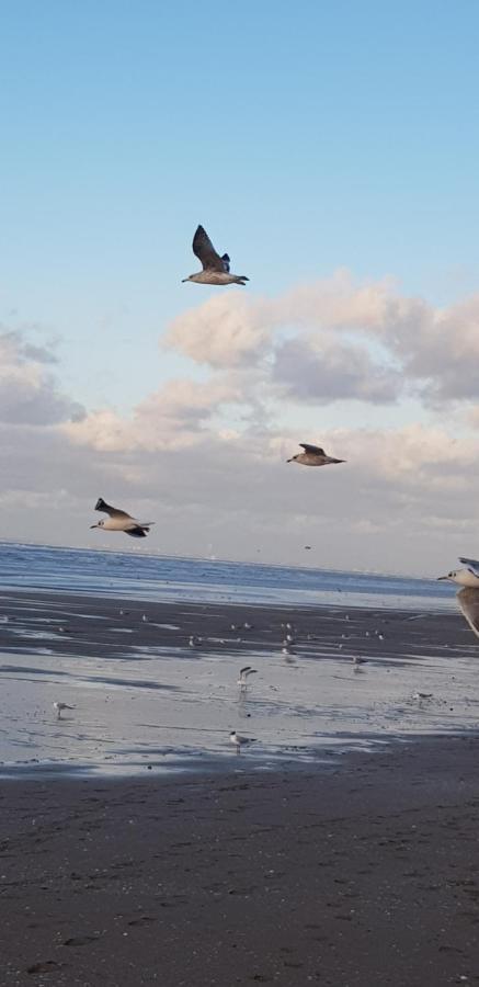 Bord De Plage, Thalasso Et Vue Mer ! Cabourg Ngoại thất bức ảnh